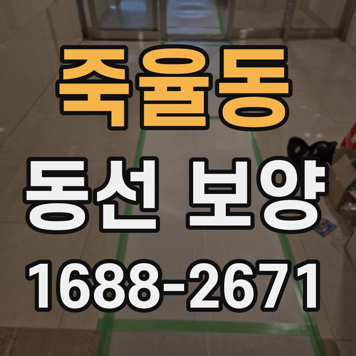 죽율동 동선 보양
