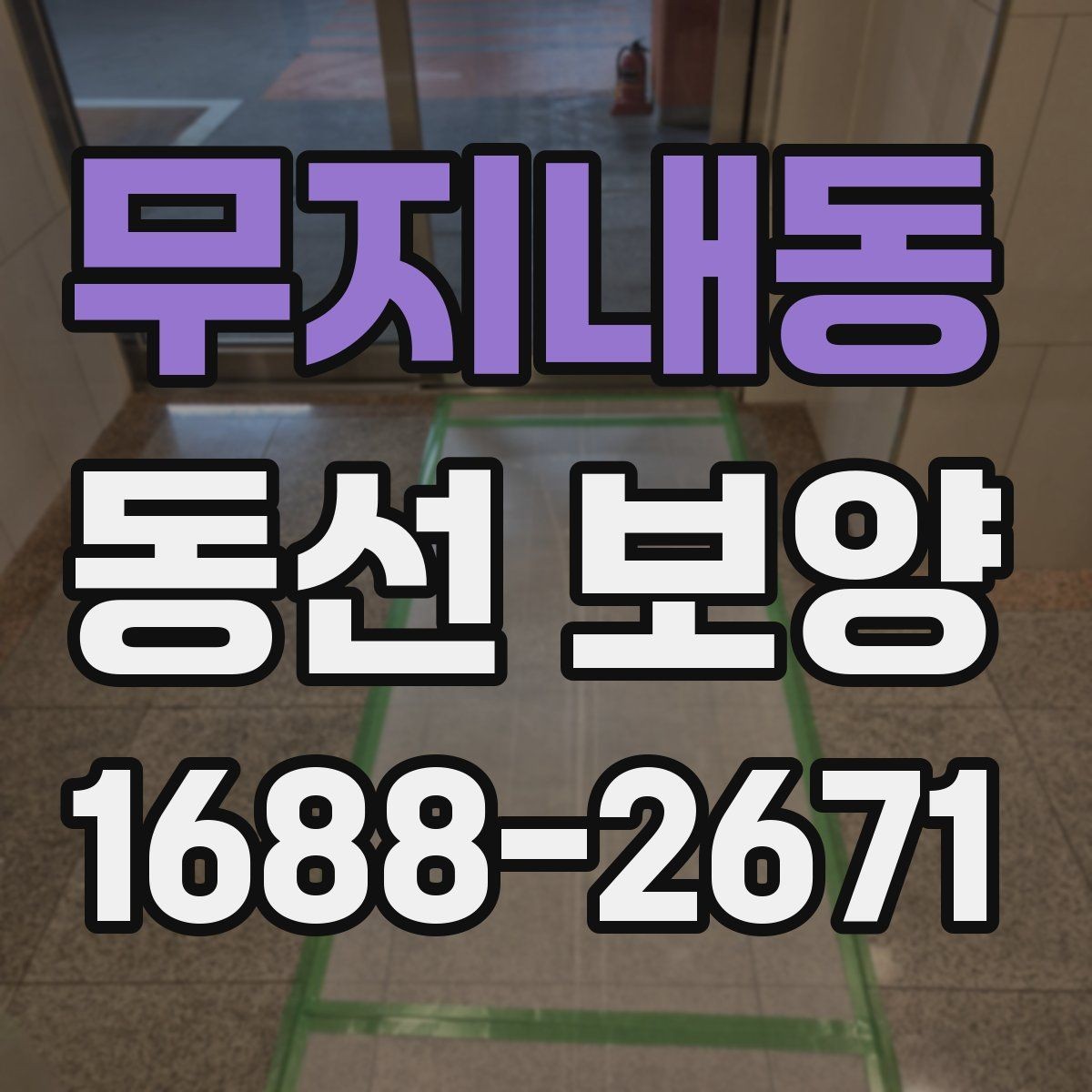 무지내동 동선 보양 후 유지 관리를 고려한 선택