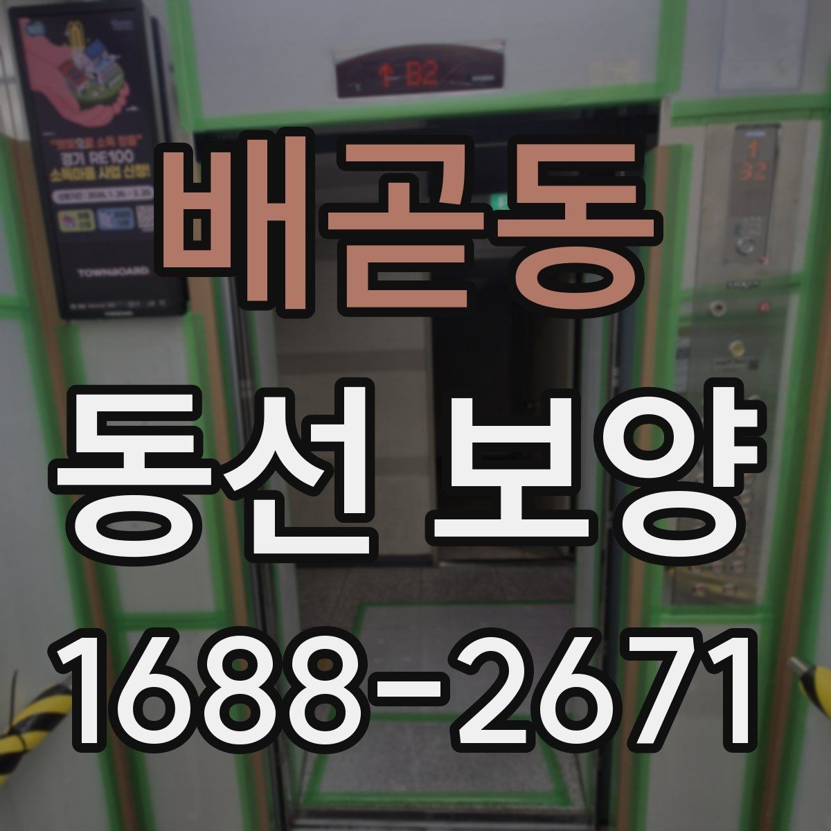 배곧동 동선 보양 적용 범위를 정하는 기준