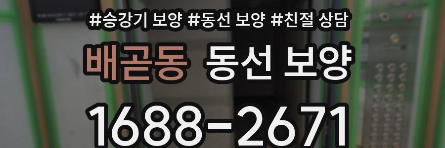 배곧동 동선 보양
