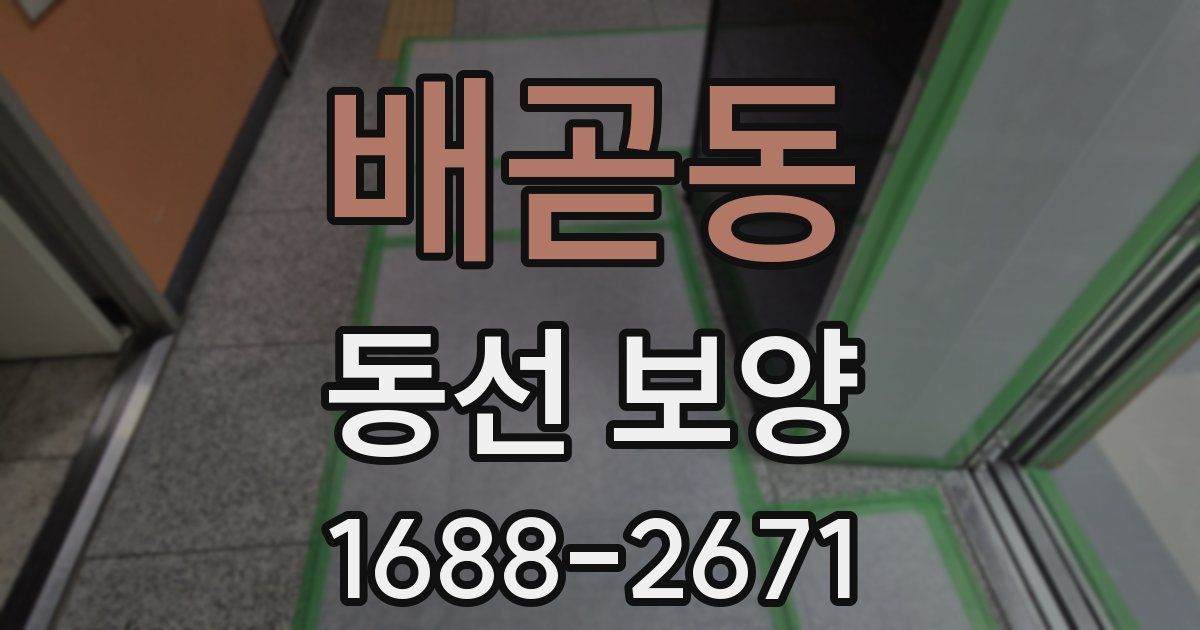 배곧동 동선 보양