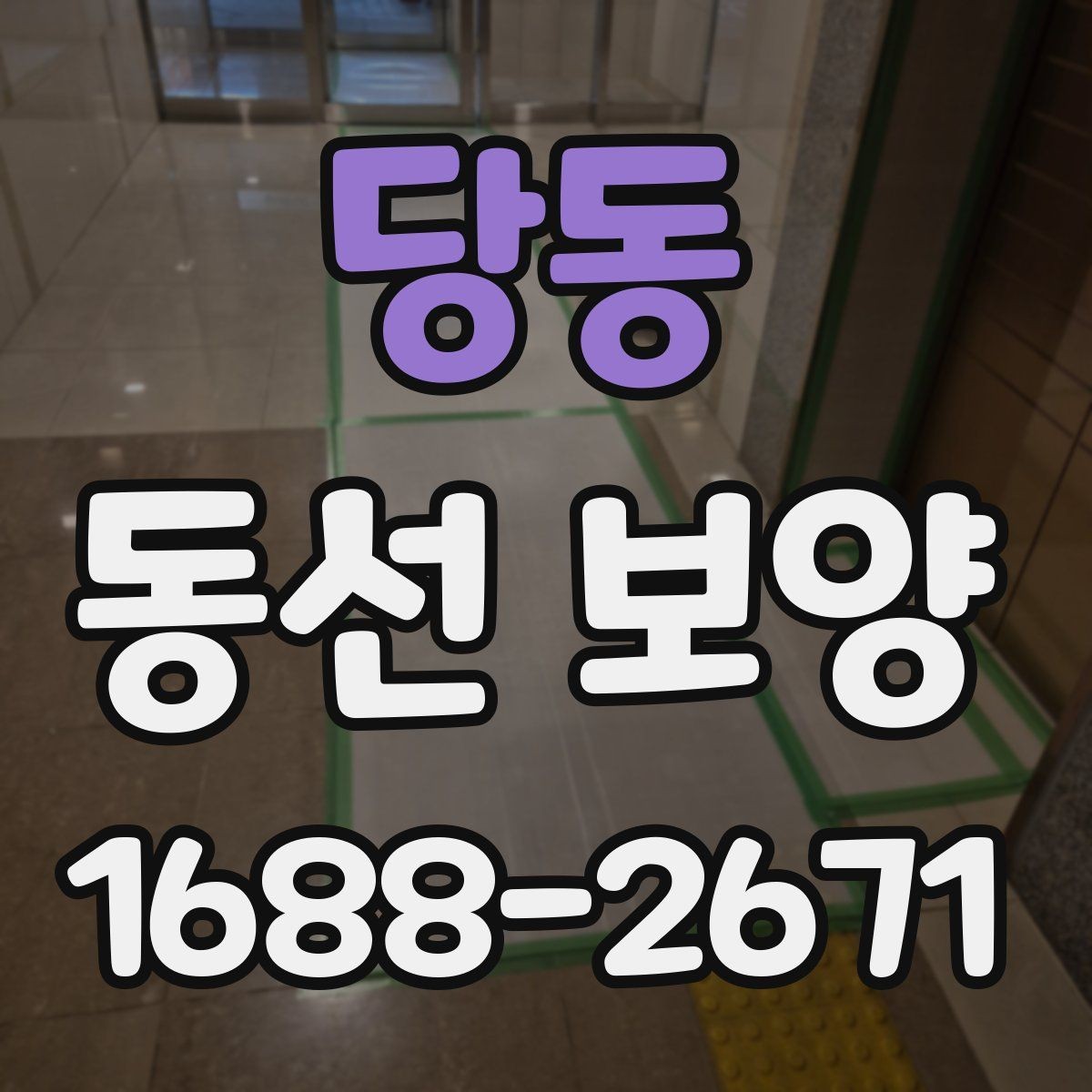 당동 동선 보양 진행 시 작업자 체크리스트