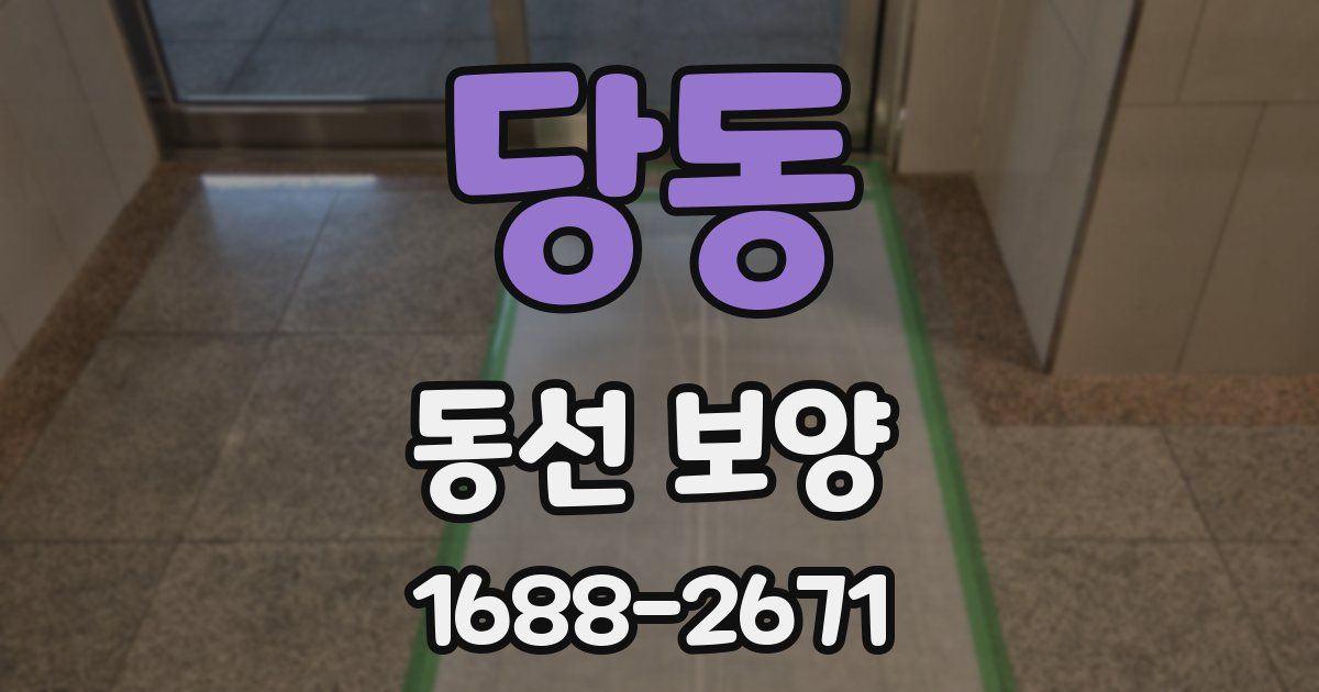 당동 동선 보양