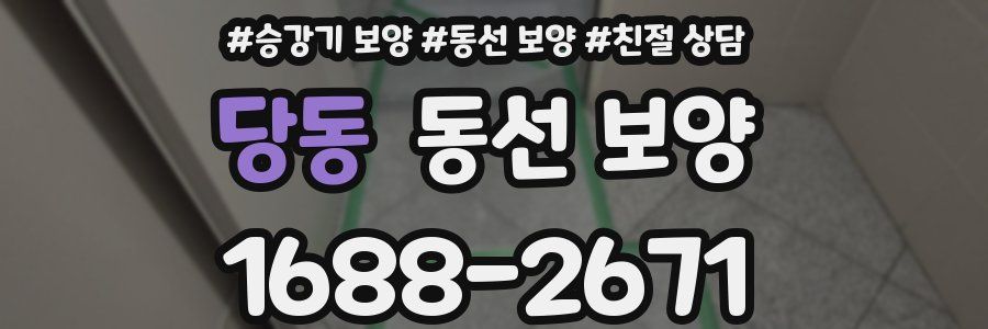 당동 동선 보양