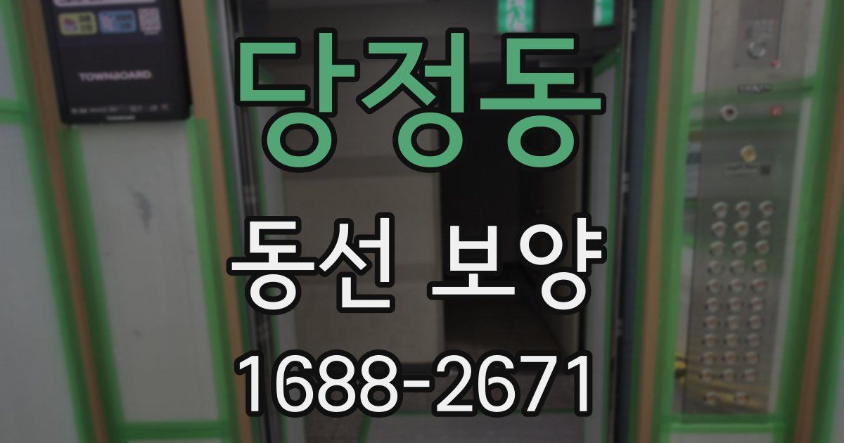당정동 동선 보양