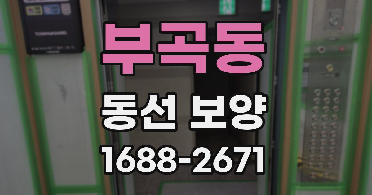 부곡동 동선 보양