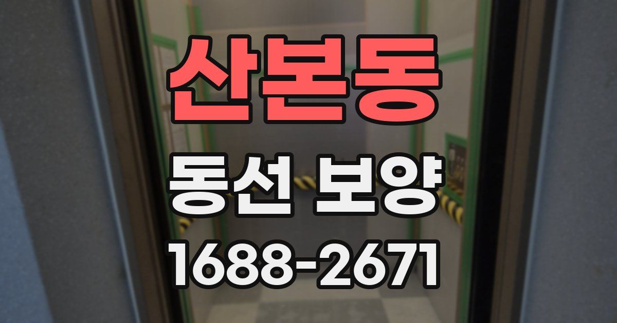 산본동 동선 보양