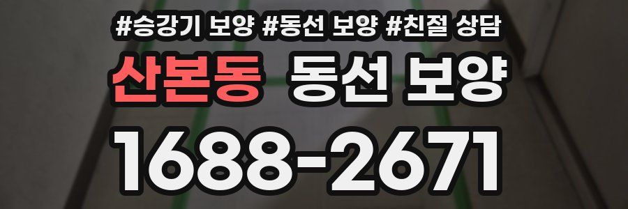 산본동 동선 보양