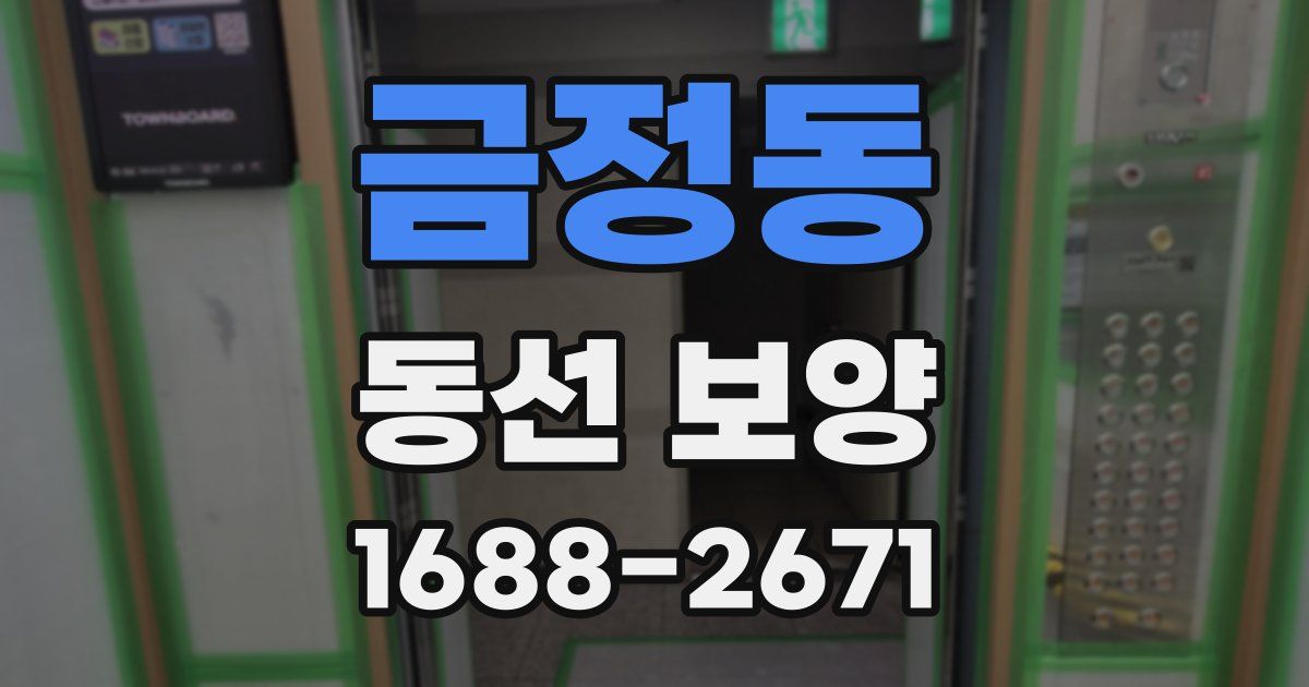 금정동 동선 보양