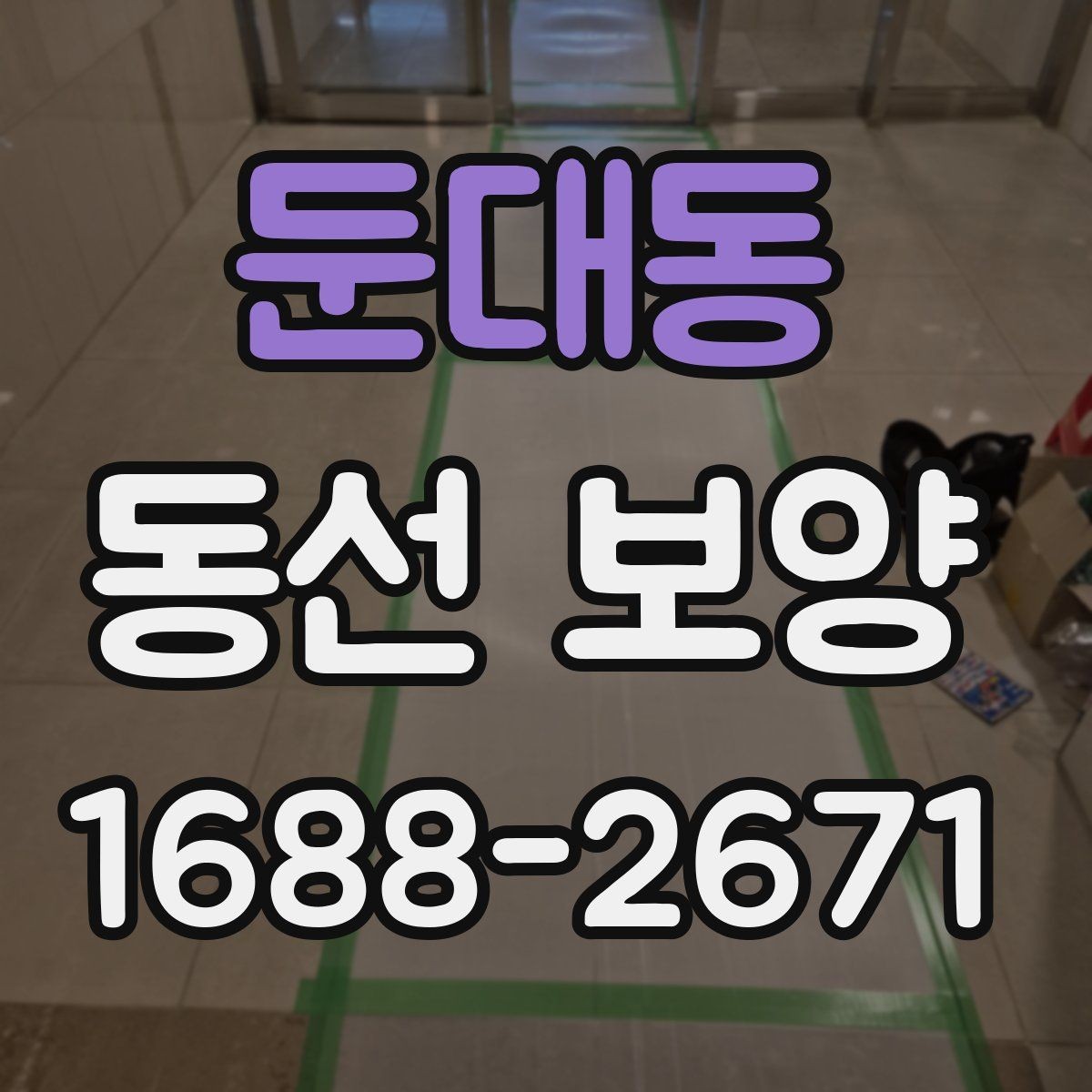 둔대동 동선 보양 적용 범위를 정하는 기준