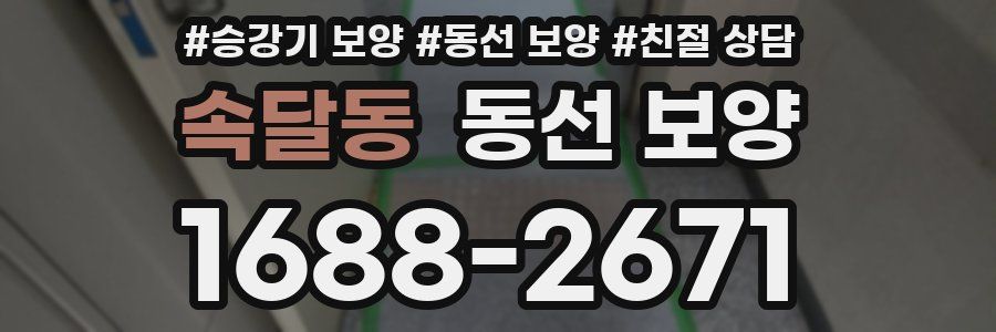 속달동 동선 보양
