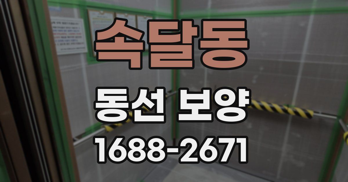 속달동 동선 보양