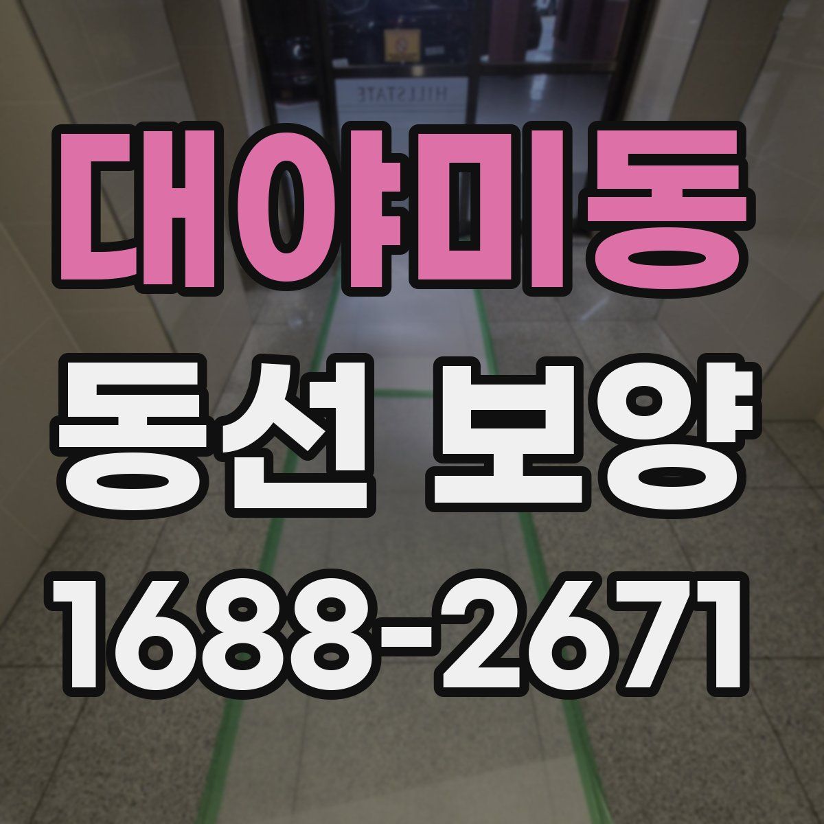 대야미동 동선 보양