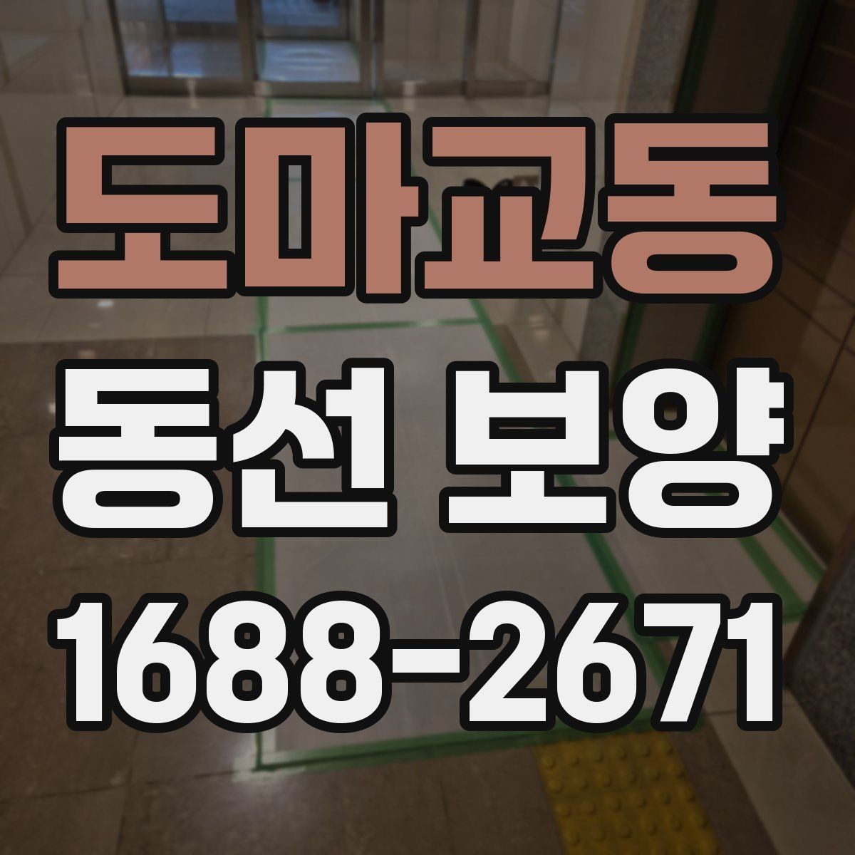 도마교동 동선 보양 작업 시간은 어떻게 정해질까