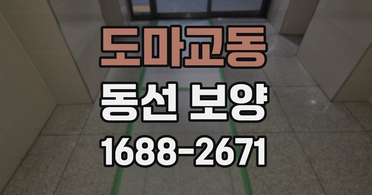 도마교동 동선 보양