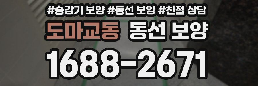 도마교동 동선 보양