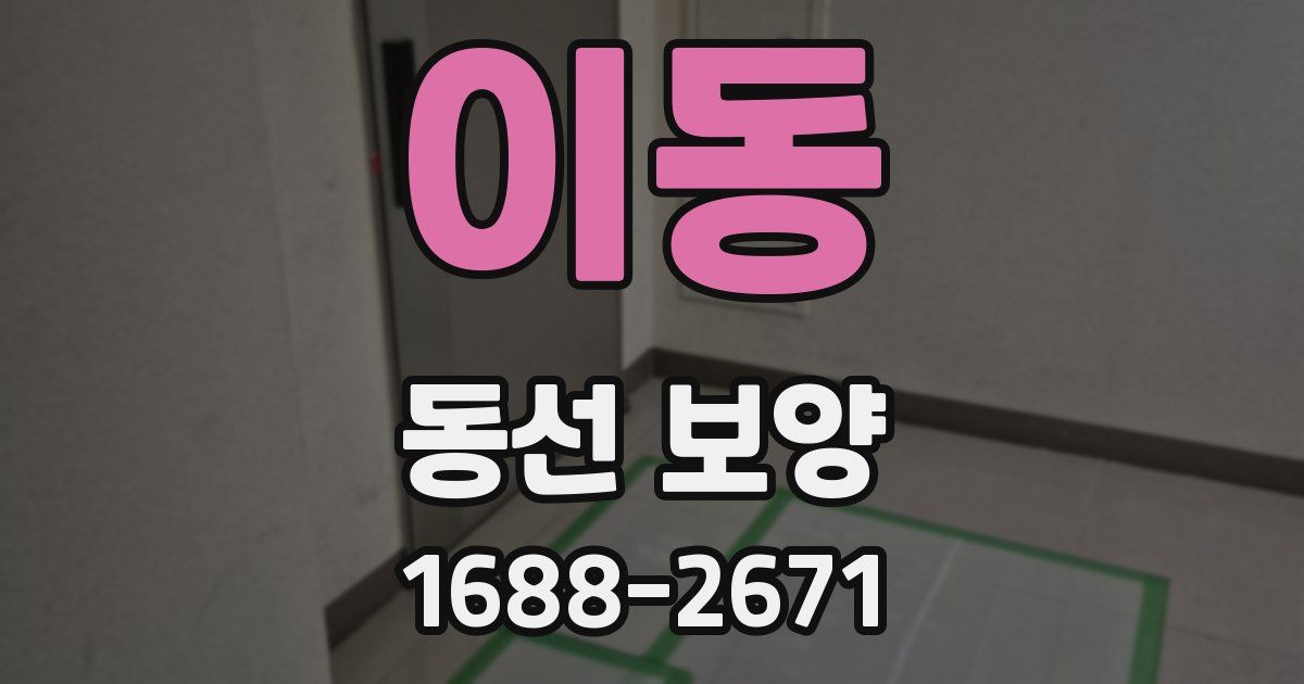 이동 동선 보양