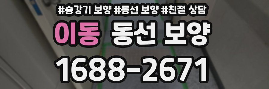 이동 동선 보양