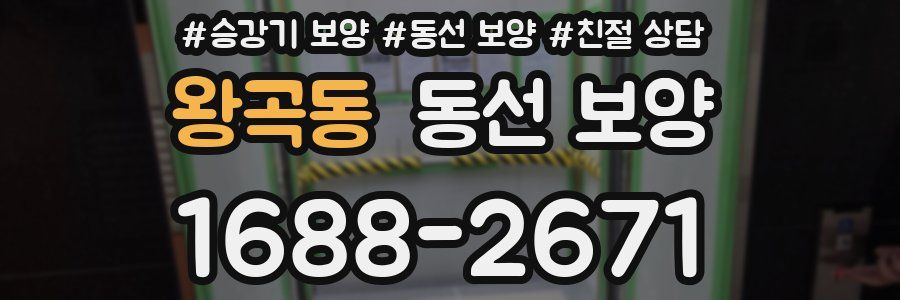 왕곡동 동선 보양