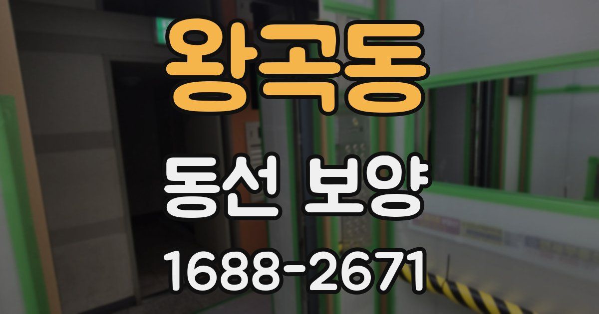 왕곡동 동선 보양