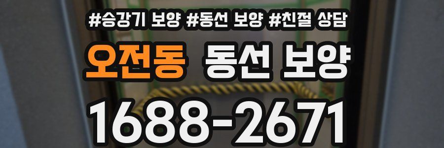 오전동 동선 보양