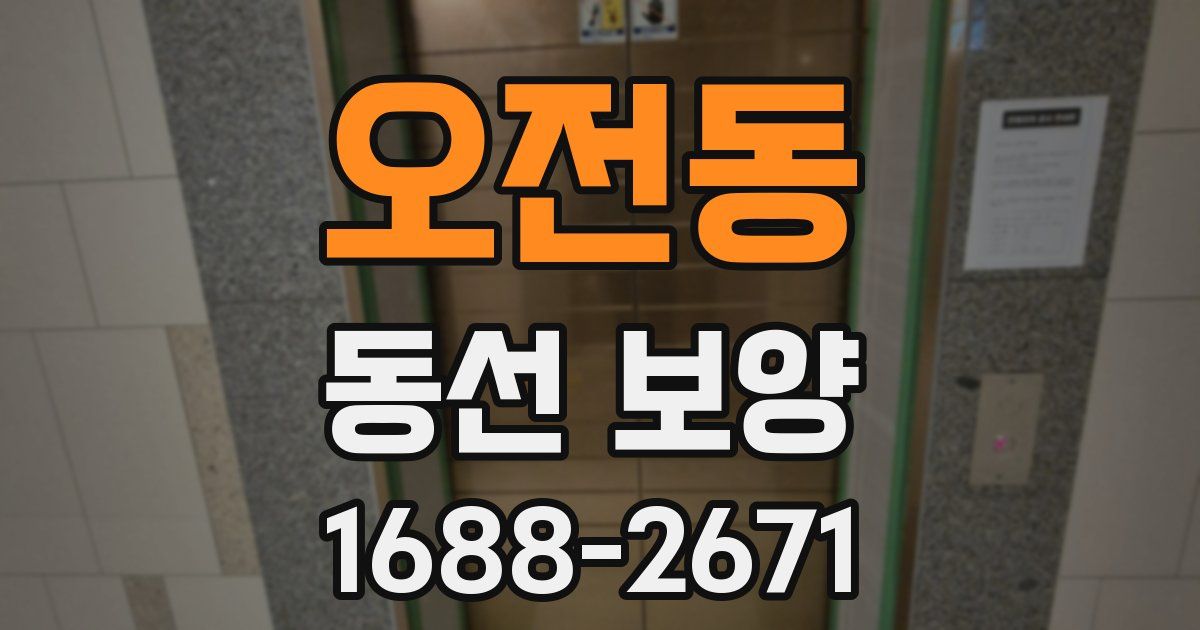 오전동 동선 보양