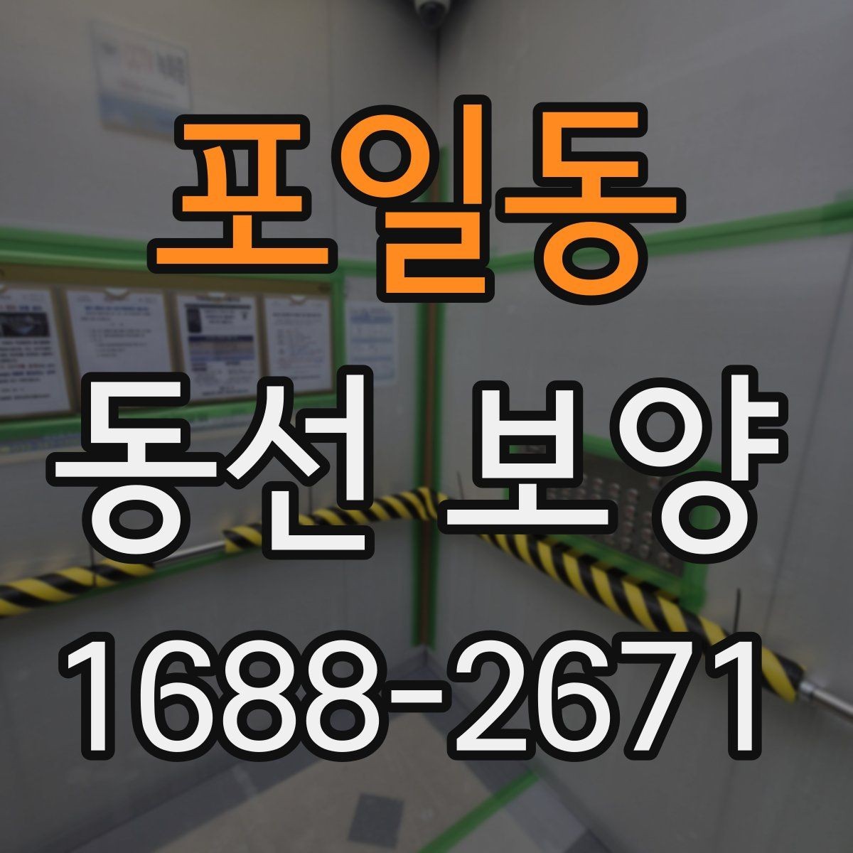 포일동 동선 보양 전 점검해야 할 하자와 위험 요소