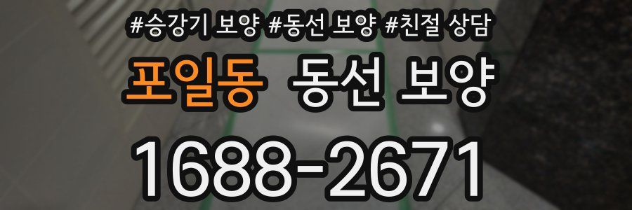 포일동 동선 보양