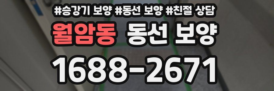 월암동 동선 보양
