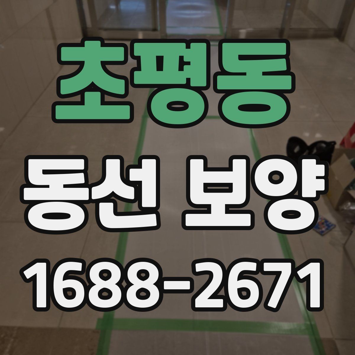 초평동 동선 보양 비용은 무엇에 따라 달라질까