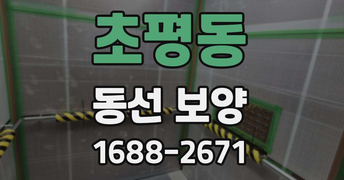 초평동 동선 보양