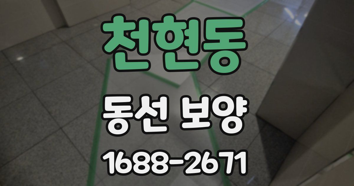 천현동 동선 보양