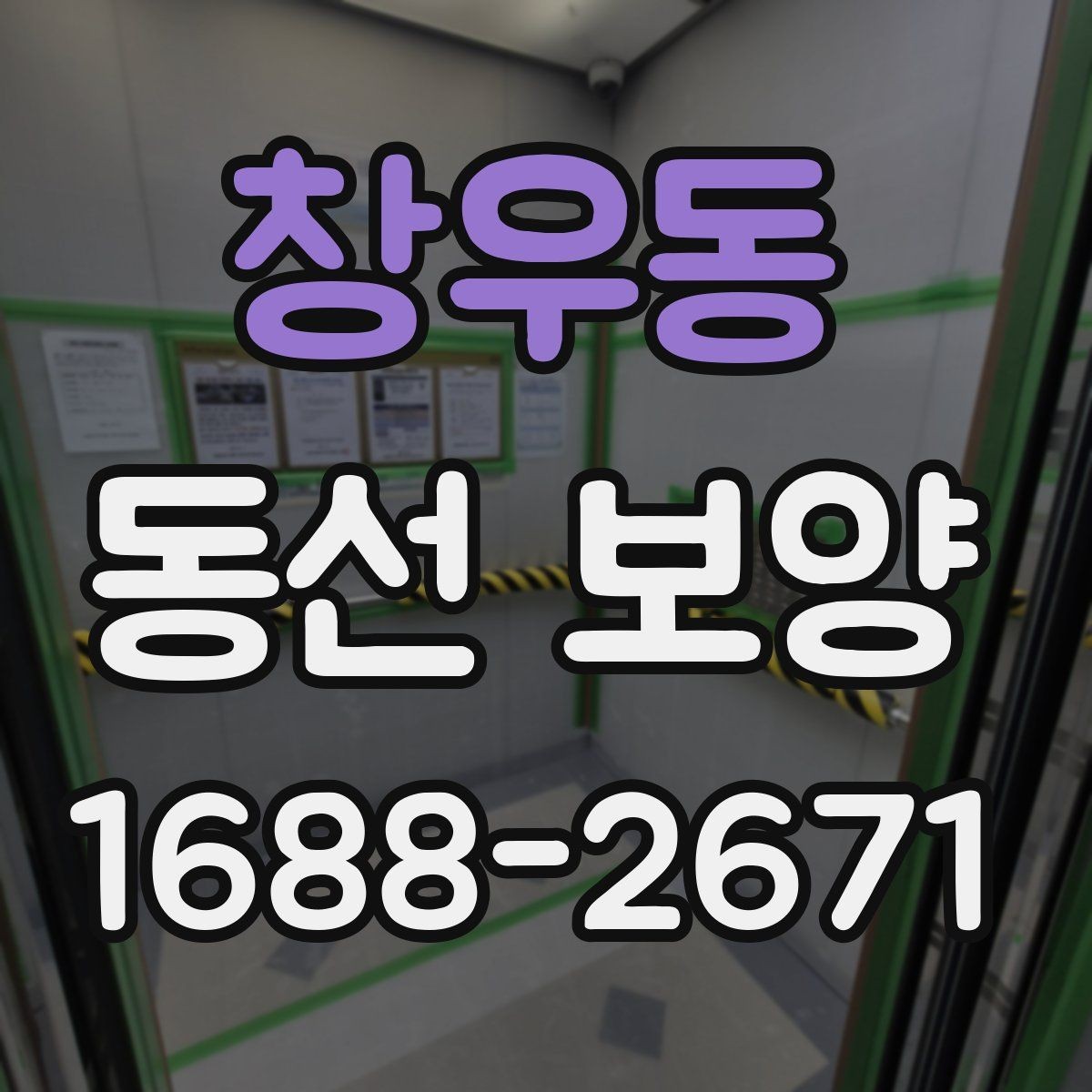 창우동 동선 보양 작업 시 인원 배치가 중요한 이유