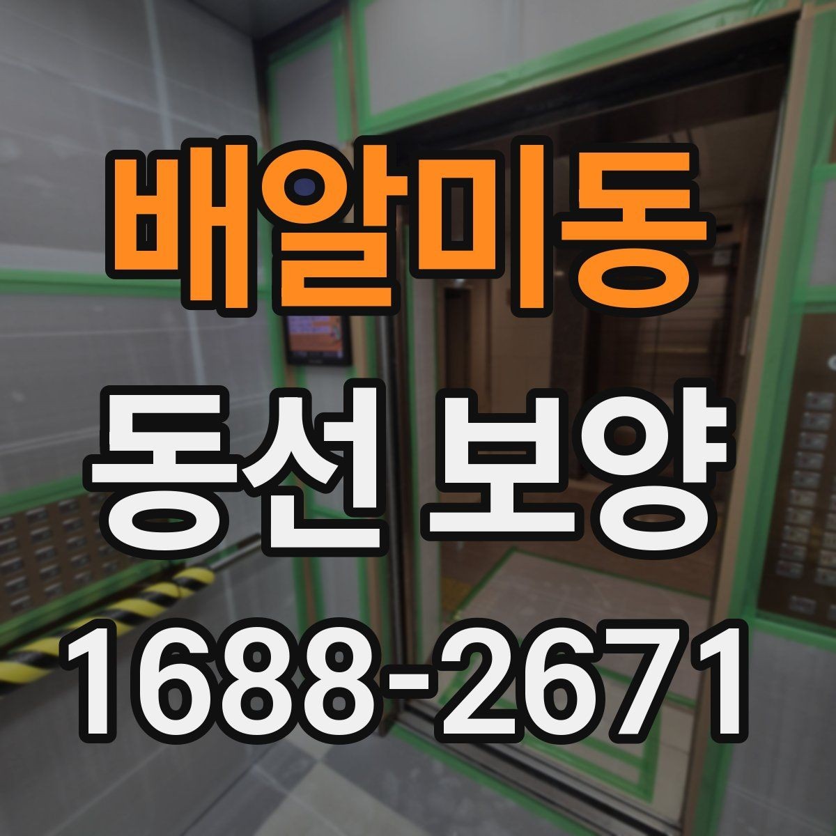 배알미동 동선 보양 작업 후 손상 예방을 위한 관리법