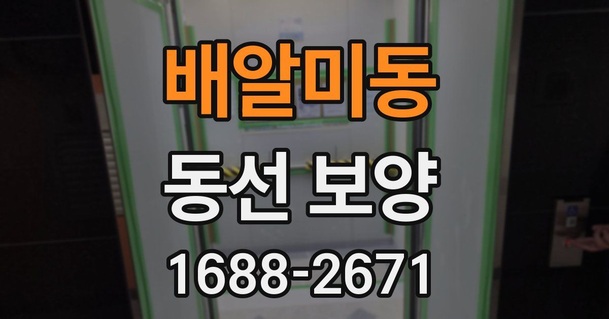 배알미동 동선 보양