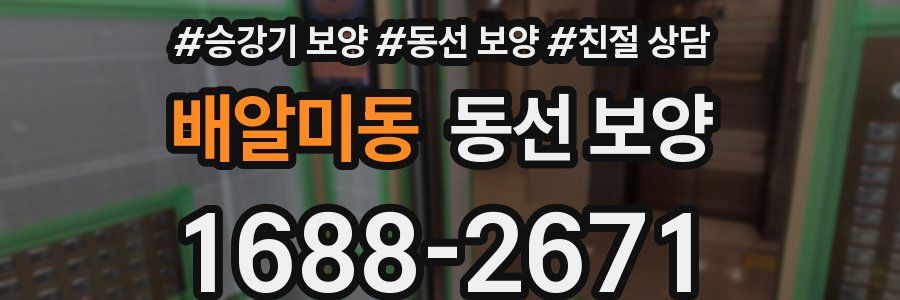 배알미동 동선 보양