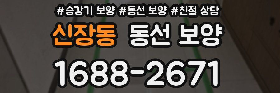 신장동 동선 보양