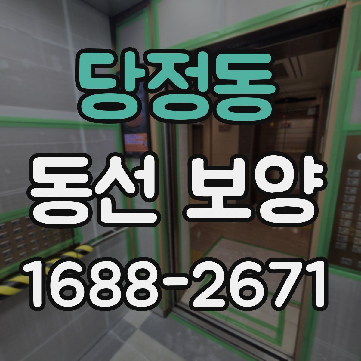 당정동 동선 보양 비용과 품질의 균형 잡기