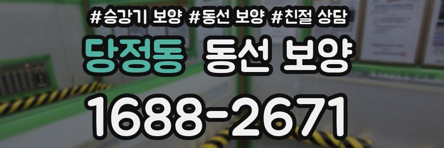당정동 동선 보양
