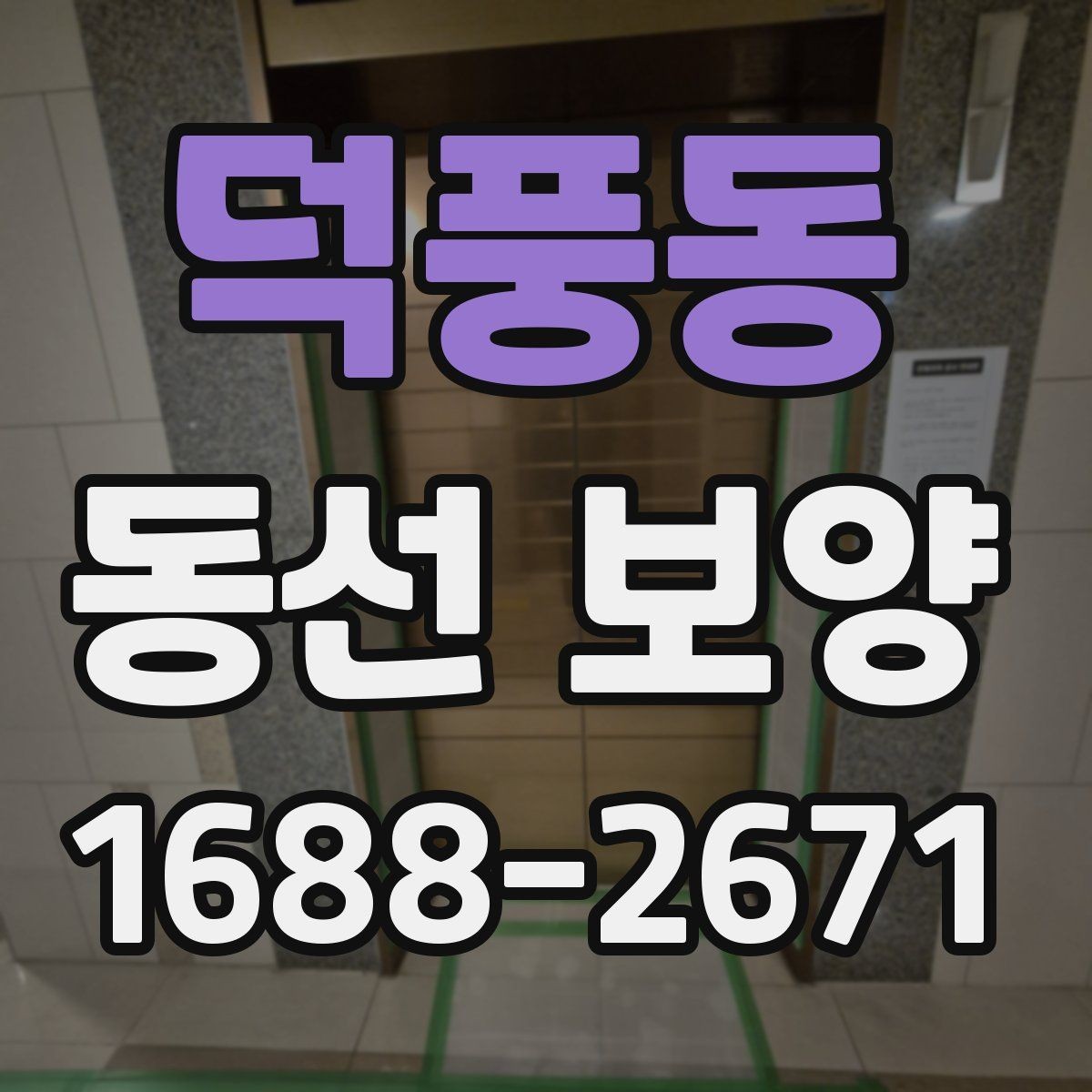 덕풍동 동선 보양 시공 사례로 보는 준비 포인트
