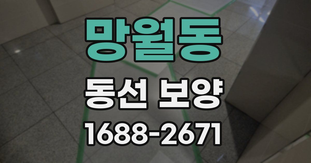 망월동 동선 보양