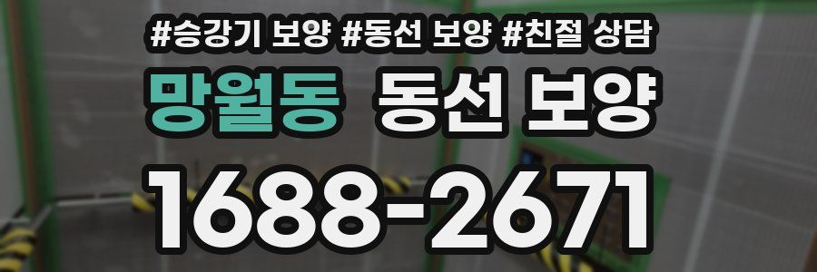망월동 동선 보양