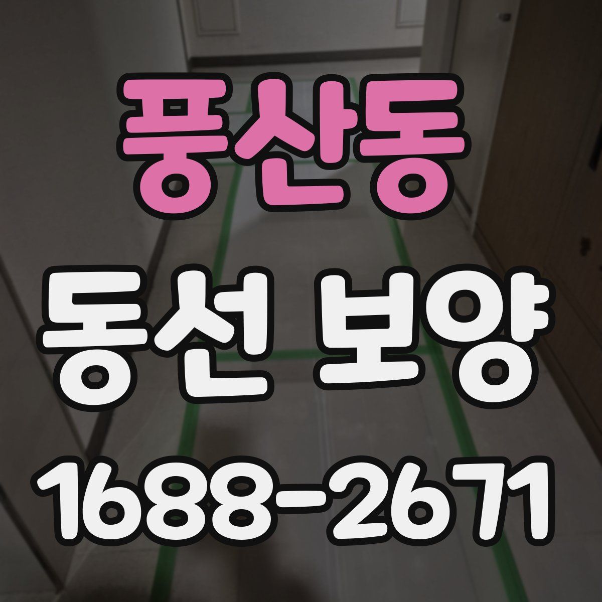 풍산동 동선 보양