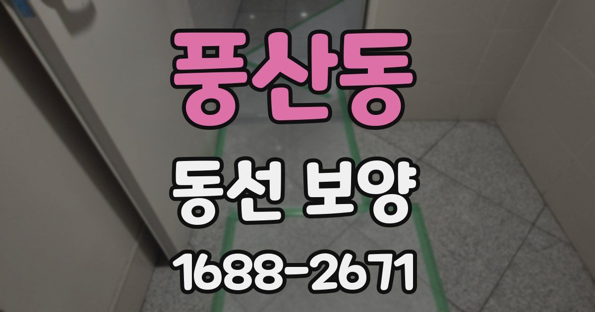 풍산동 동선 보양