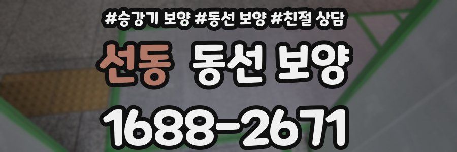 선동 동선 보양