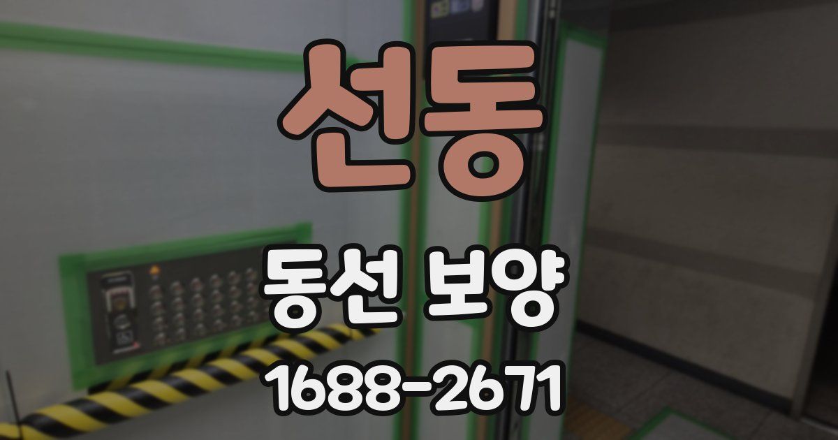 선동 동선 보양