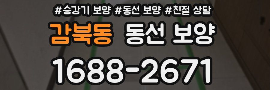 감북동 동선 보양
