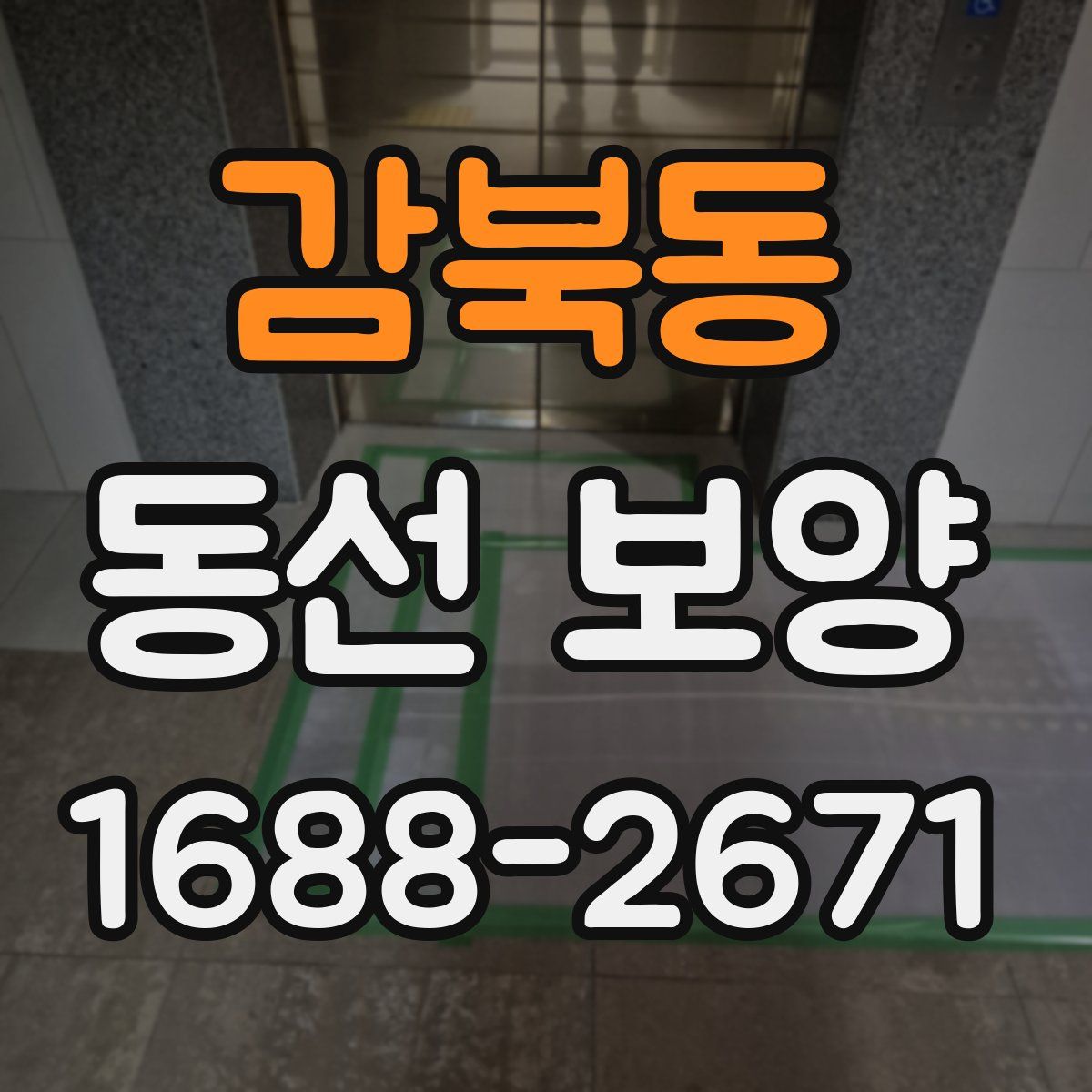 감북동 동선 보양