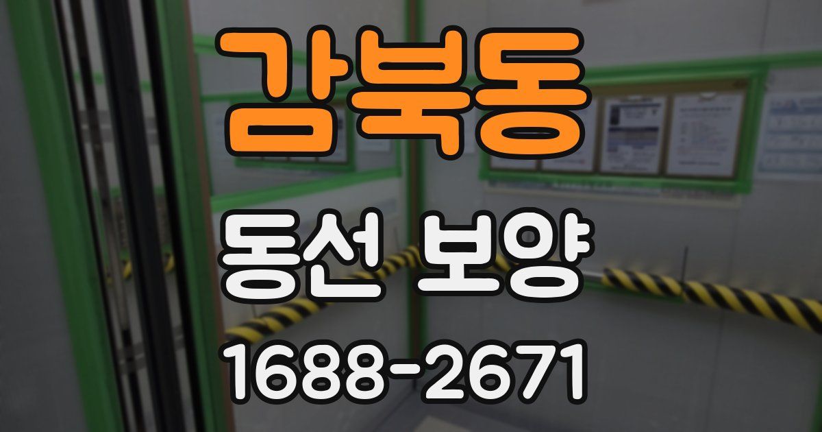 감북동 동선 보양