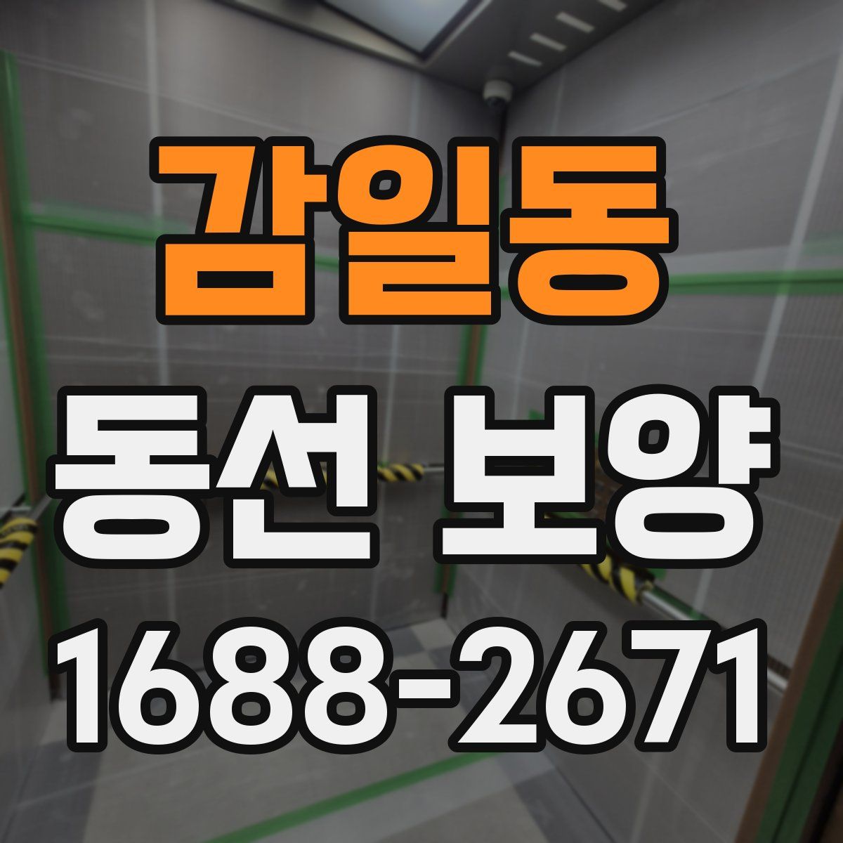 감일동 동선 보양